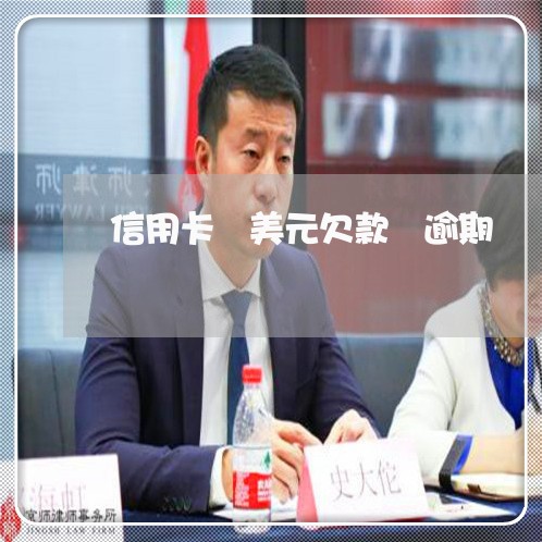 信用卡 美元欠款 逾期